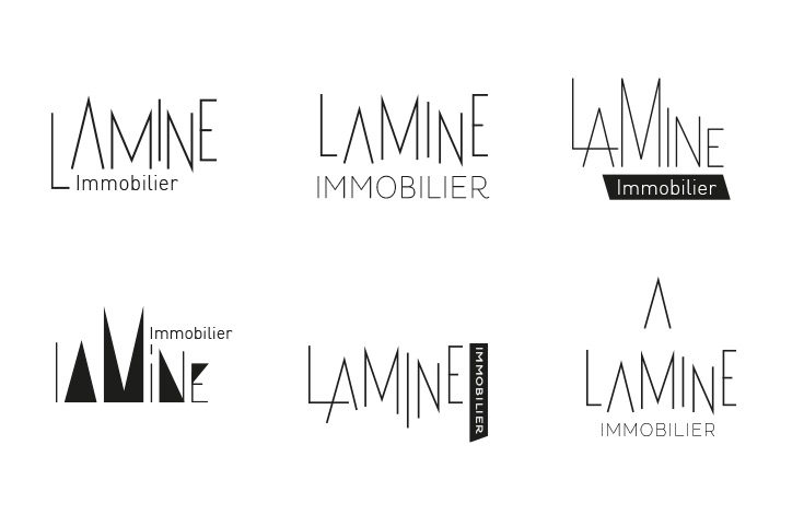 Visual concepts research for Lamine Immobilier