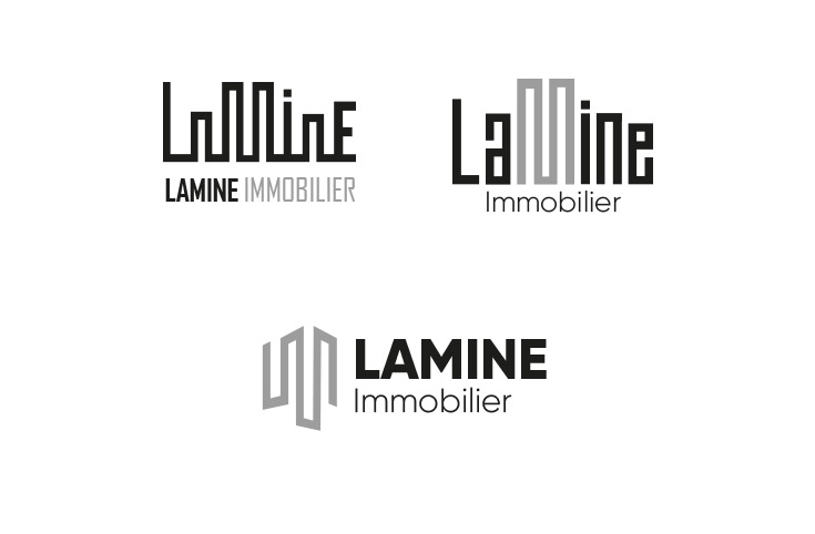 Visual concepts research for Lamine Immobilier