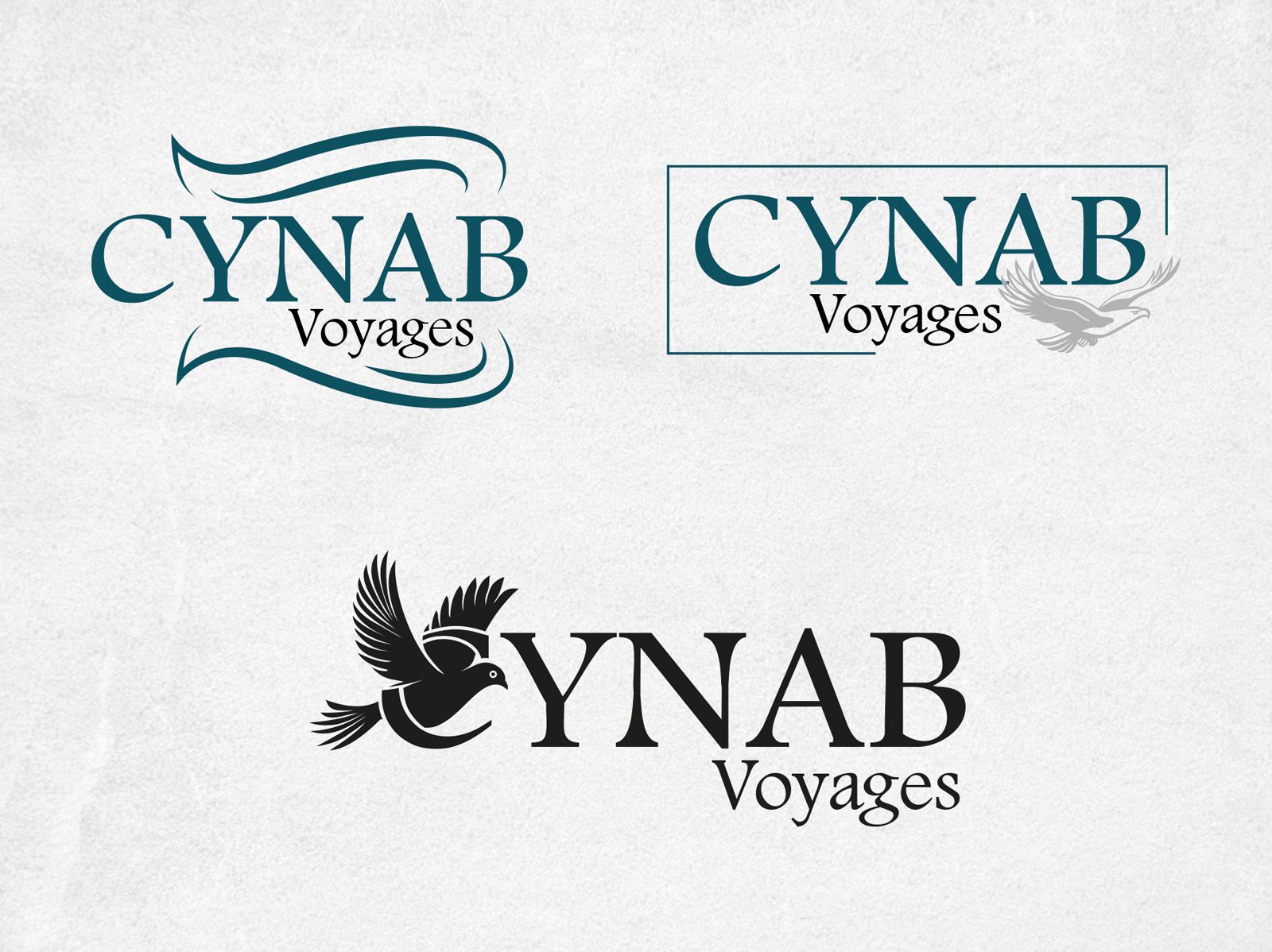 Exploration visuelle et concepts du nouveau logo CYNAB Voyages
